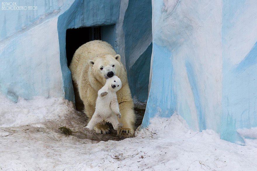 http://www.boredpanda.com/cute-animal-parenting/?image_id=animal-parents-3-1.jpg