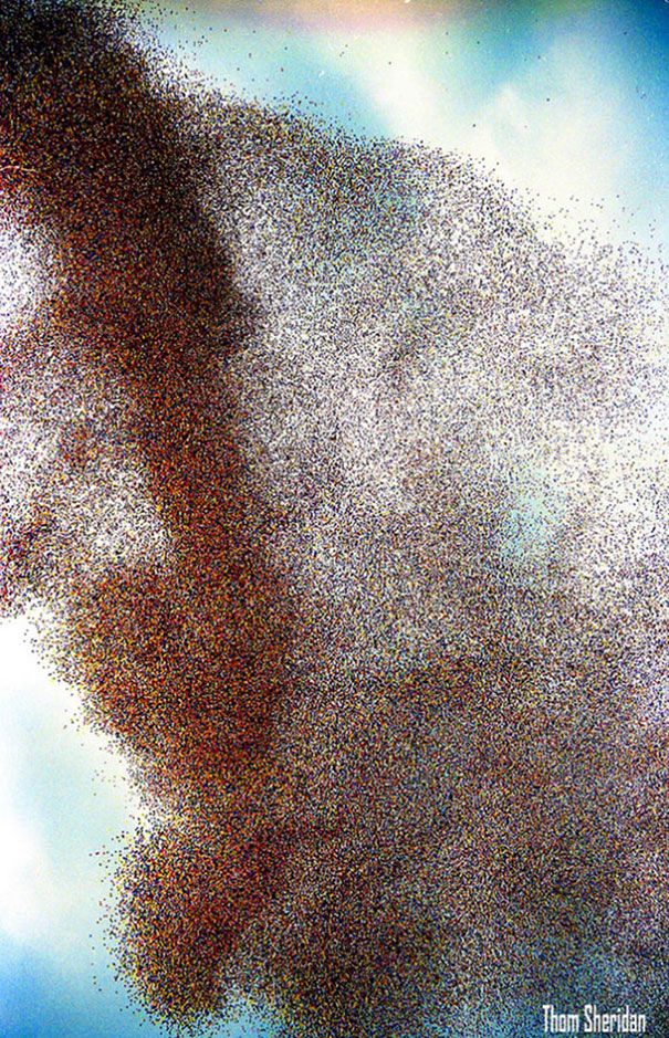 balloonfest-86-united-way-cleveland-balloon-disaster-6