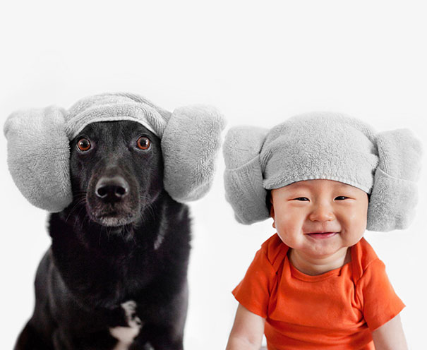 zoey-jasper-rescue-dog-baby-portraits-grace-chon-6.jpg