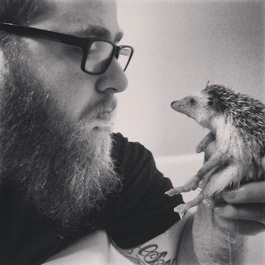 norman-cute-hedgehog-brett-jessie-13