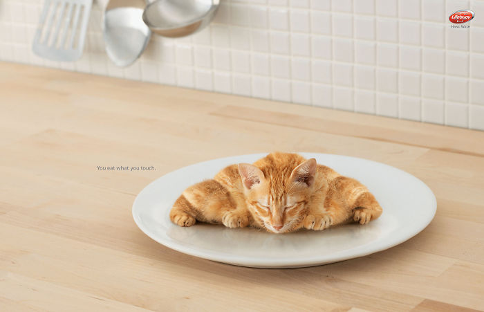 funny-ads-with-animals-12