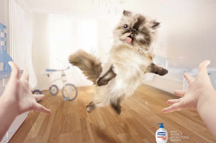funny-ads-with-animals-13
