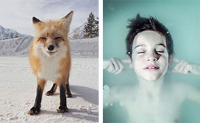 2014 iPhone Photography Award Winners Prove That Amazing Photos Can Be Taken Without An Expensive Camera
