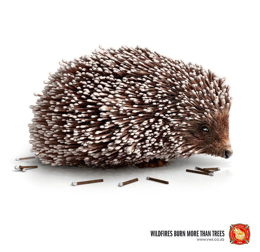 public-social-ads-animals-130