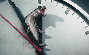 33 Powerful Animal Ad Campaigns That Tell The Uncomfortable Truth