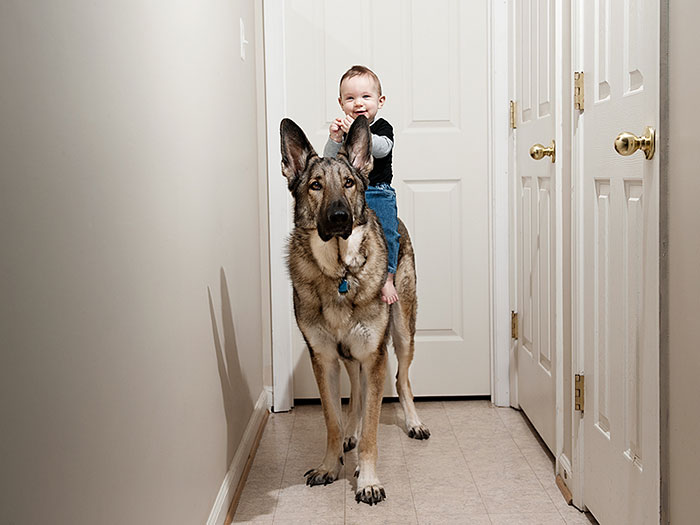 cute-big-dogs-and-babies-14