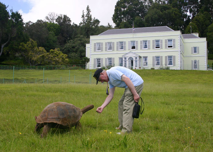 http://www.boredpanda.com/blog/wp-content/uploads/2014/08/182-year-old-tortoise-jonathan-16.jpg