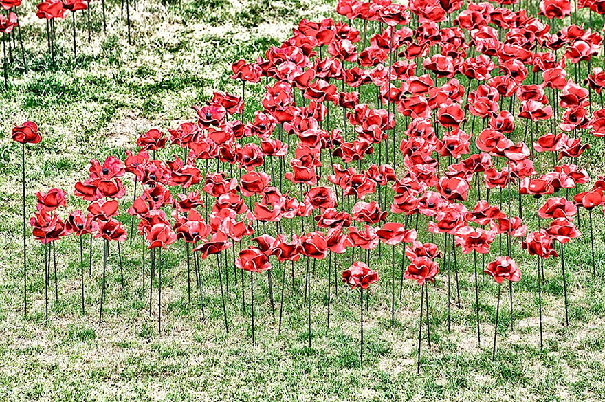 ceramic-poppies-first-world-war-installation-london-tower-9