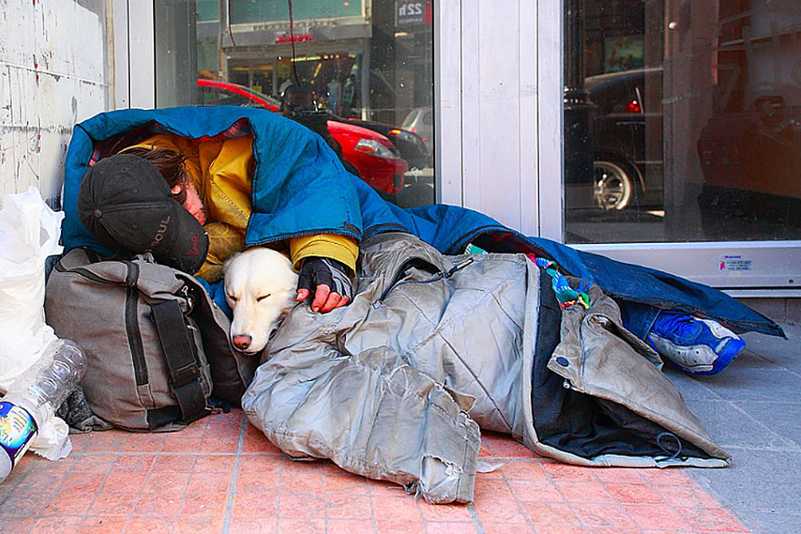 homeless-dogs-and-owners-2