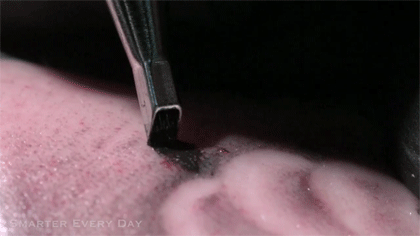 Watch: How tattoo machines work in slow motion