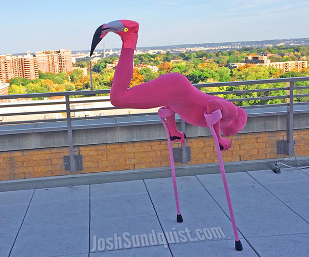 Infotainment @ www.keralites.net Fun & Info @ Keralites.net