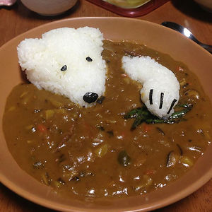 Polar Bear Curry