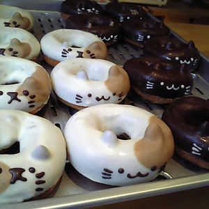 Cat Doughnuts