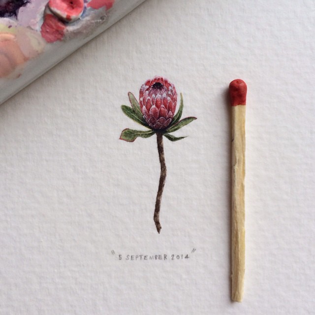 miniature-paintings-postcards-for-ants-lorraine-loots-6