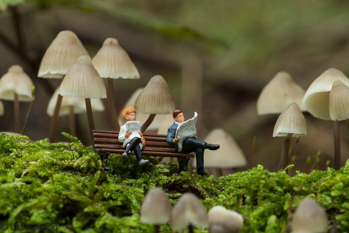  created miniature worlds here are pictures 