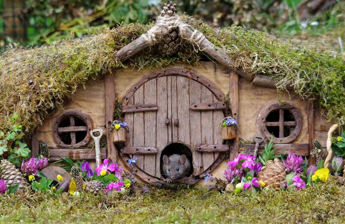  mice tiny garden 