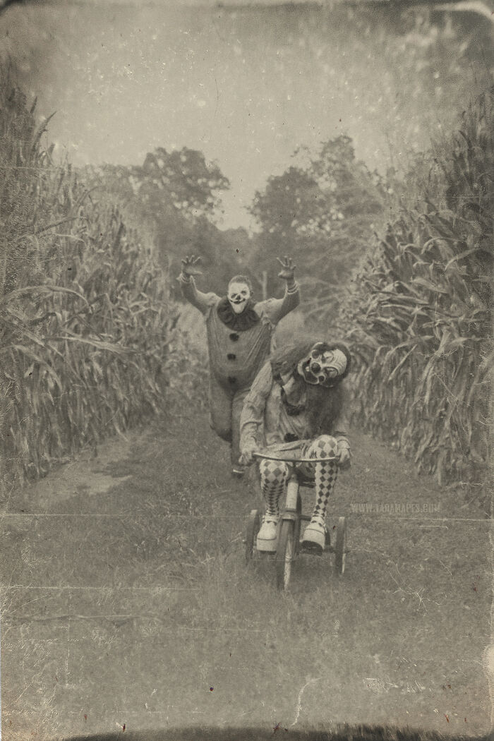  photos creepy clowns cornfield because love vintage horror 