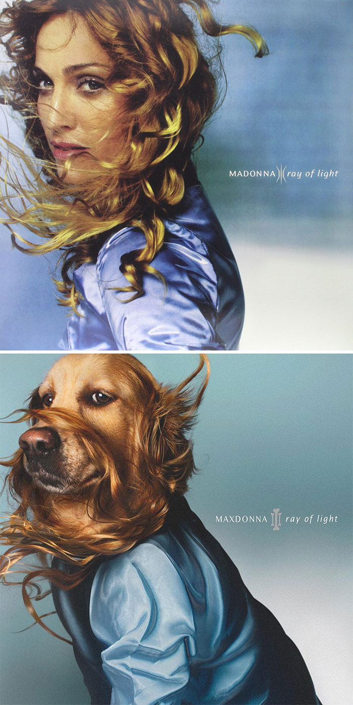 This Dog Recreates Madonnas Iconic Pics And Some Could Say Theyre Even Better Than The Originals (18 Pics)