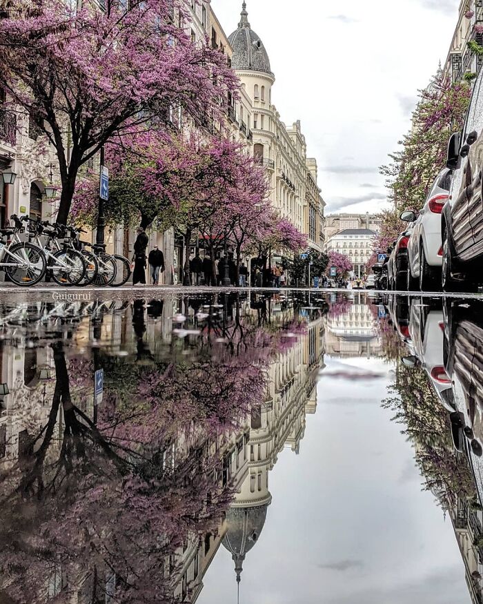 I Discover Hidden Parallel Worlds In Puddles And Other Reflections On My Smartphone (30 Pics)