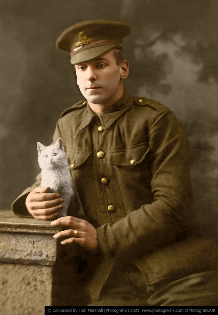 Remembrance Day: I Colorized 14 Photos Of Animals That Served In WW1 And WW2