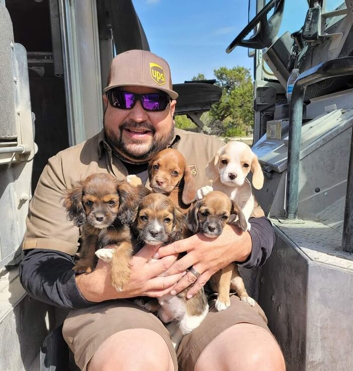 Turns Out, UPS Drivers Have A Facebook Group About Dogs They Meet On Their Routes, And It Will Make Your Day (30 New Pics)