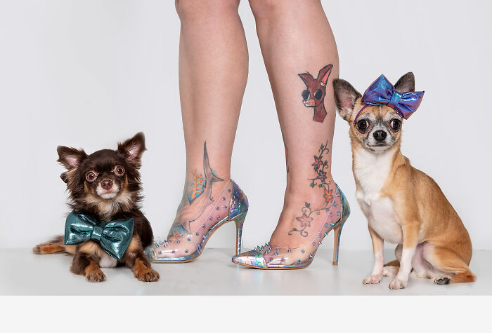 My Photography Project Proves You Can Tell A Pets Owner By Their Feet (27 Pics)