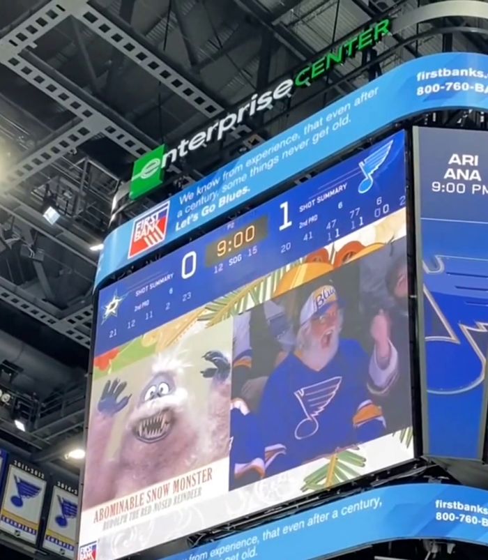 There Is A Lookalike Camera During St. Louis Blues Games, Here Are 35 Of Its Hilarious Discoveries