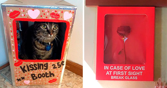 50 Times People Decided To Go All Out On Valentine’s Day With These Creative Decorations