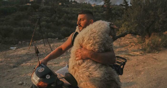 83 Portraits That Capture The Beauty, Strength, And Diversity Of Humans That Are Often Overlooked (New Pics)