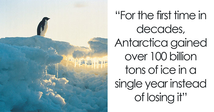 50 Facts And Stories That Show How Many Great, Sad And Weird Things Are Happening In The World