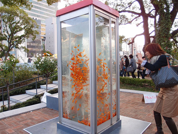 Phone Booths Transformed Into Goldfish Tanks