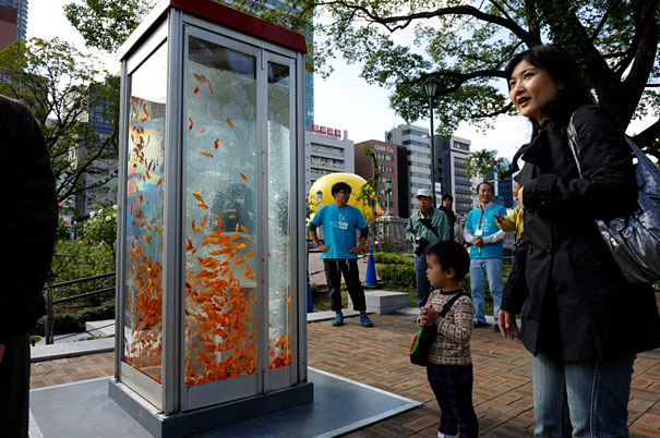 Phone Booths Transformed Into Goldfish Tanks