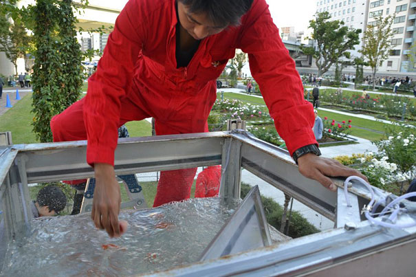 Phone Booths Transformed Into Goldfish Tanks