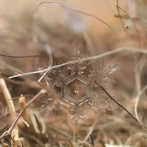 Gorgeous Macro Shots of Individual Snowflakes 