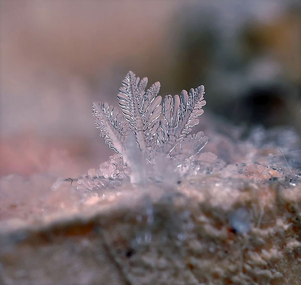 Gorgeous Macro Shots of Individual Snowflakes 