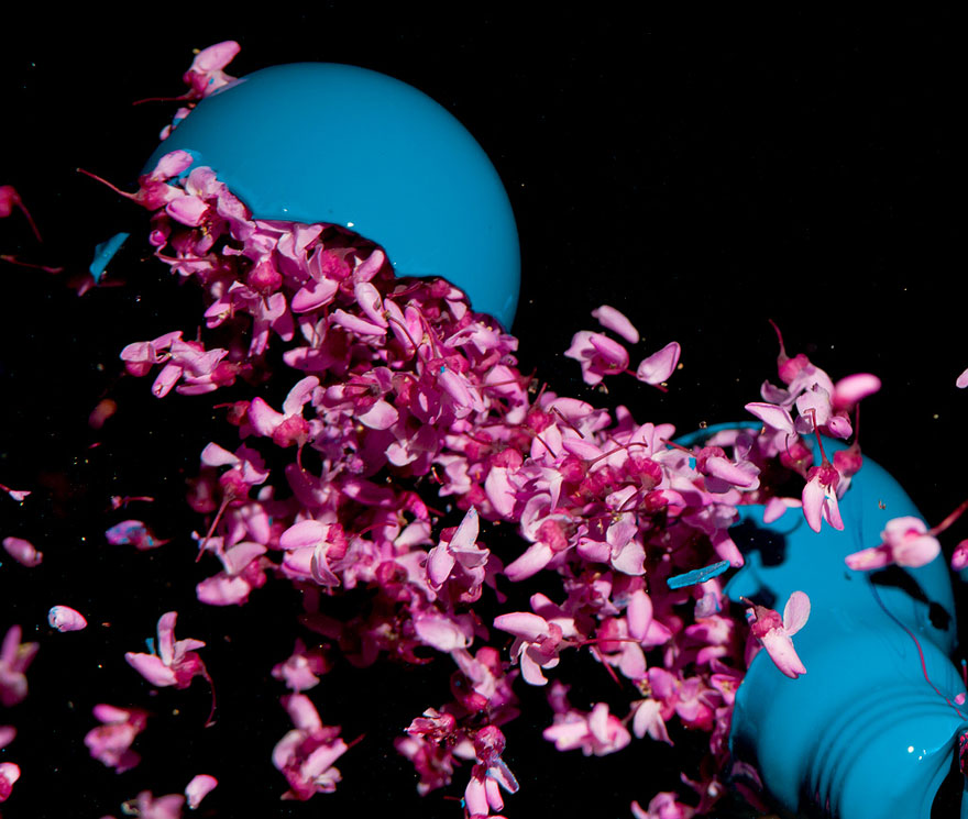 high-speed-photography-jon-smith-16