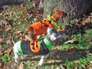 kimberly-i-dunn avatar