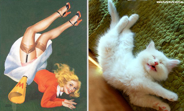 Cats That Pose Like Pin Up Girls (18 pics) Cats That Pose Like Pin Up Girls (18 pics)