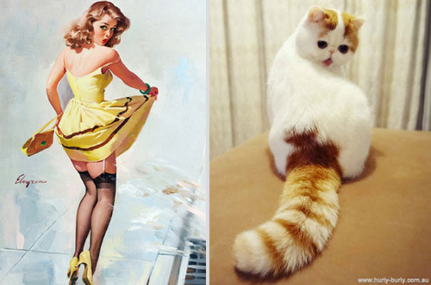 Cats That Pose Like Pin Up Girls (18 pics) Cats That Pose Like Pin Up Girls (18 pics)