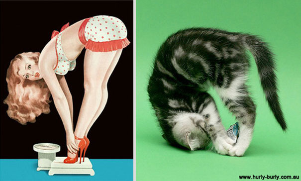 Cats That Pose Like Pin Up Girls (18 pics)