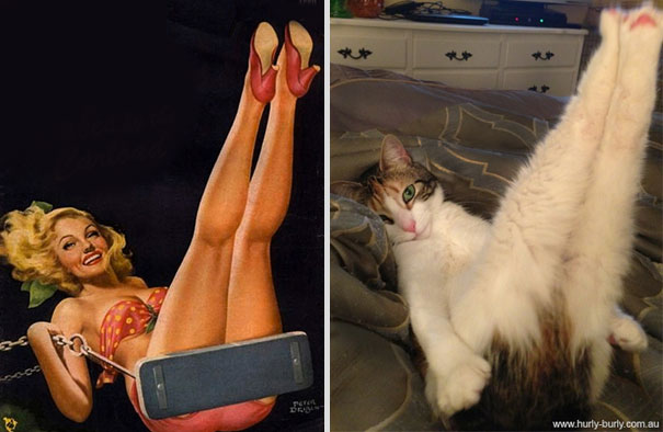 Cats That Pose Like Pin Up Girls (18 pics)