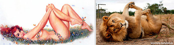 cats-that-look-like-pin-up-girls-20