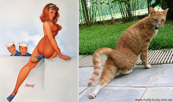Cats That Pose Like Pin Up Girls (18 pics) Cats That Pose Like Pin Up Girls (18 pics)