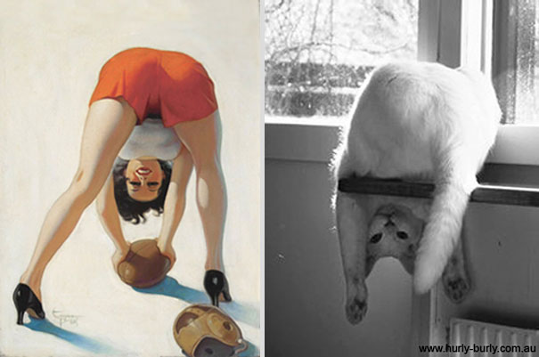 Cats That Pose Like Pin Up Girls (18 pics)