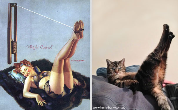 Cats That Pose Like Pin Up Girls (18 pics)