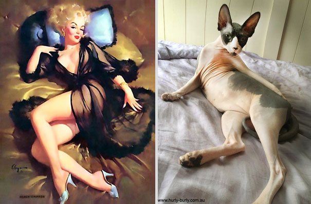 Cats That Pose Like Pin Up Girls (18 pics)