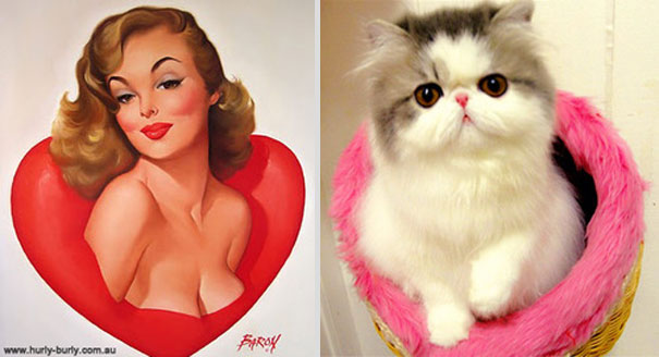 Cats That Pose Like Pin Up Girls (18 pics) Cats That Pose Like Pin Up Girls (18 pics)