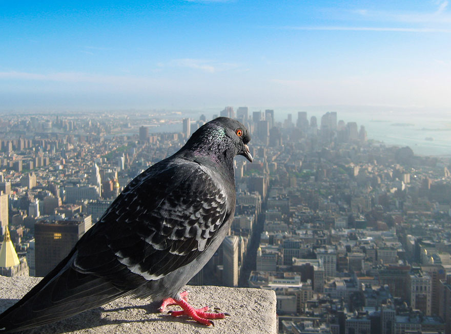 earth-from-above-32 earth-from-above-32