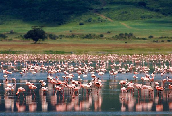 National Geographic Traveler: World&acute;s 111 Best Island Destinations. 