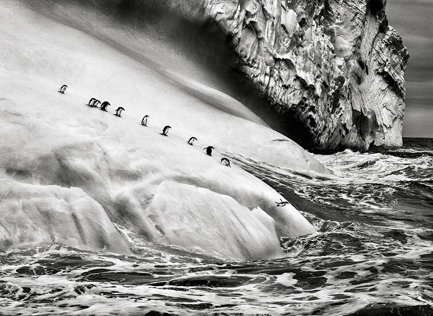 Spectacular Photos By Photojournalist Sebastião Salgado Spectacular Photos By Photojournalist Sebastião Salgado